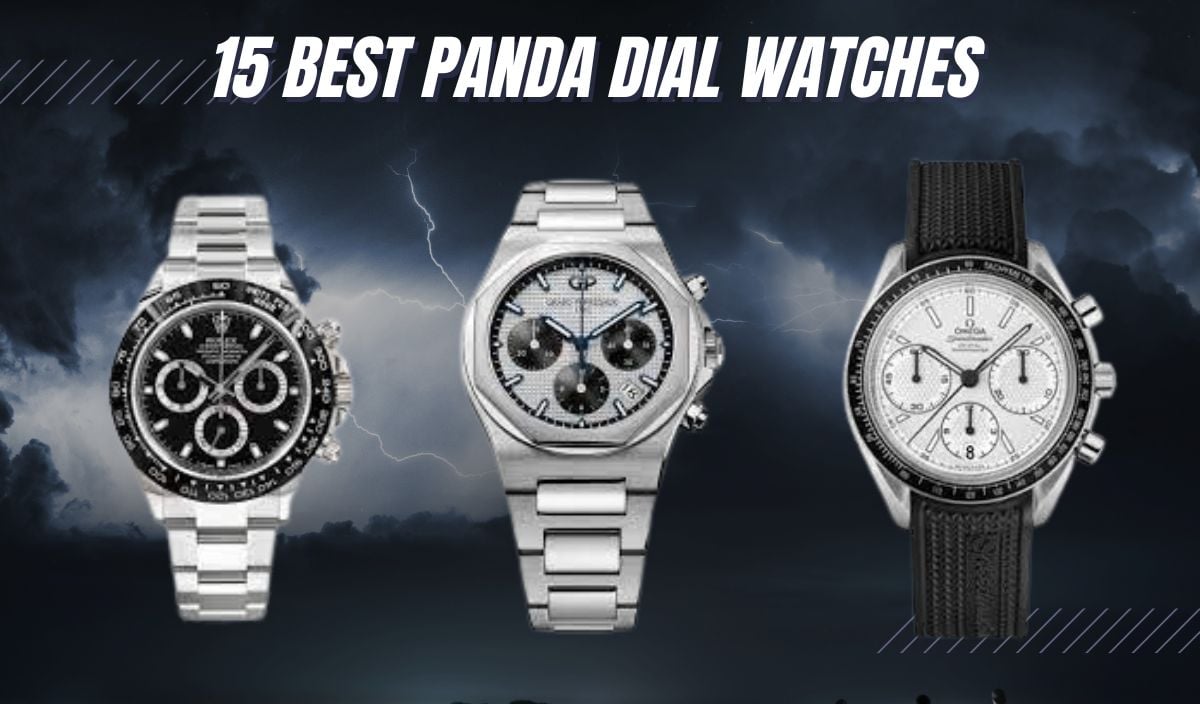 15 best panda dial watches