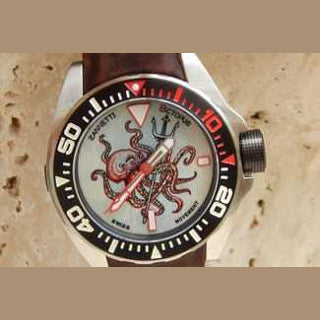 Zannetti 8ctopus Painting Colour