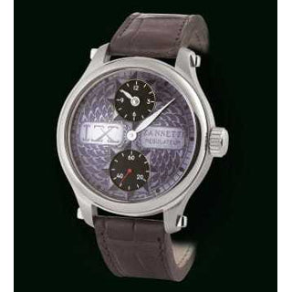 Zannetti Violet Regulateur