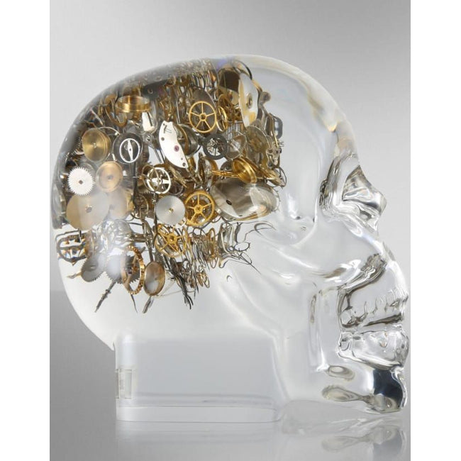 Berdvaye Skull Lost In Time Large