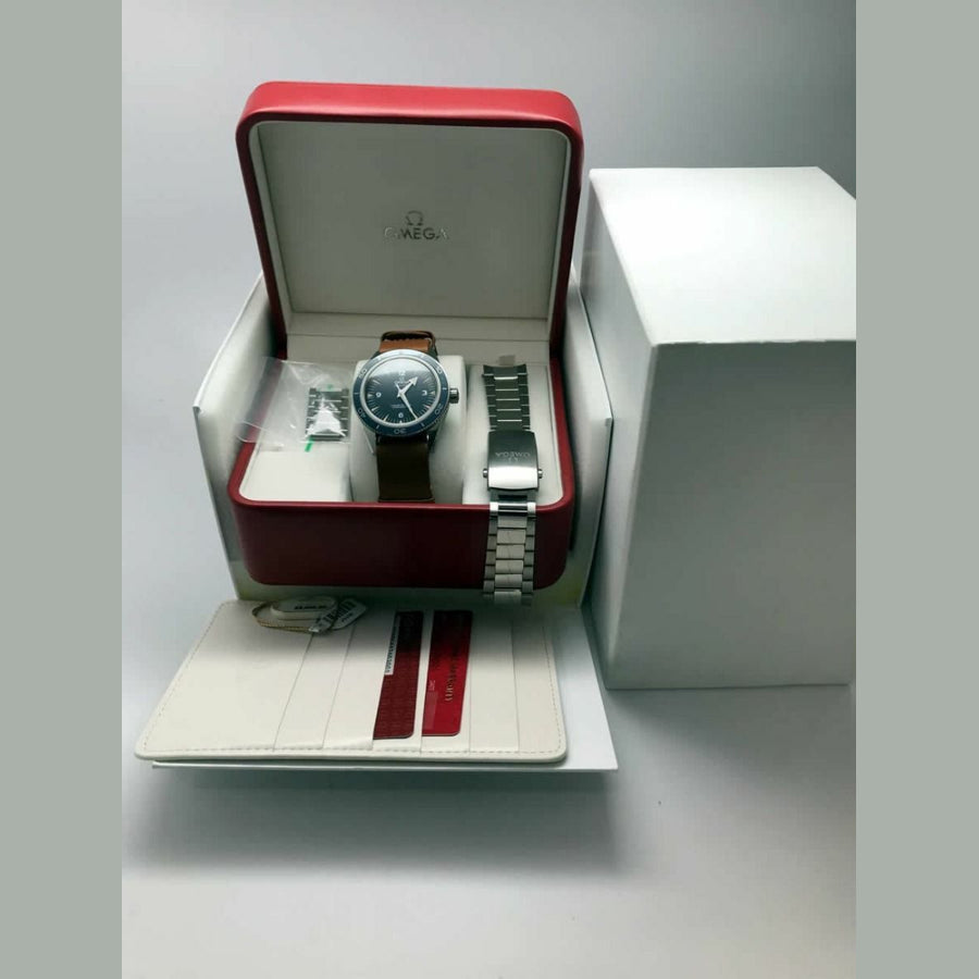 Omega Seamaster 300 233.90.41.21.03.001