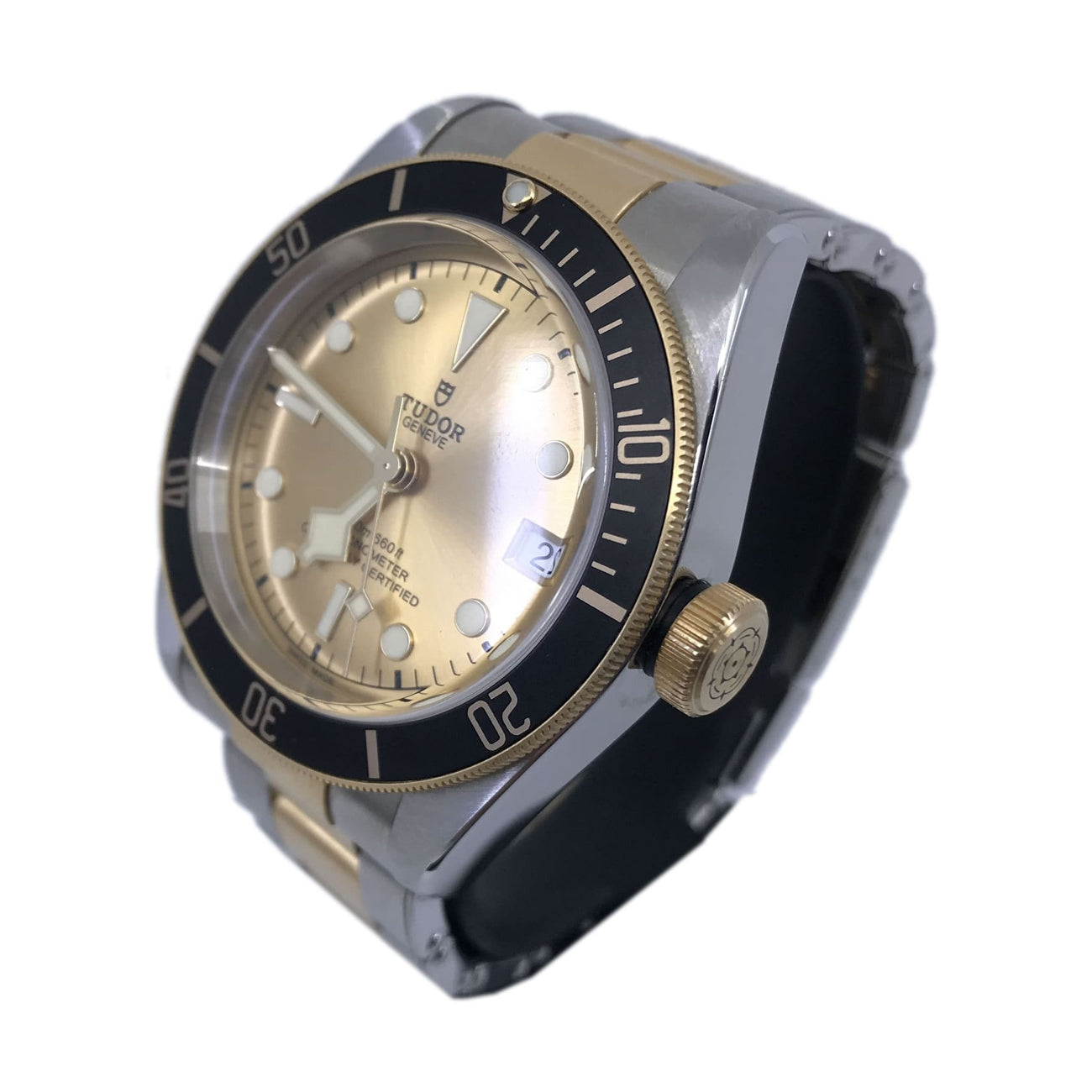 Tudor Black Bay Steel & Gold 79733N
