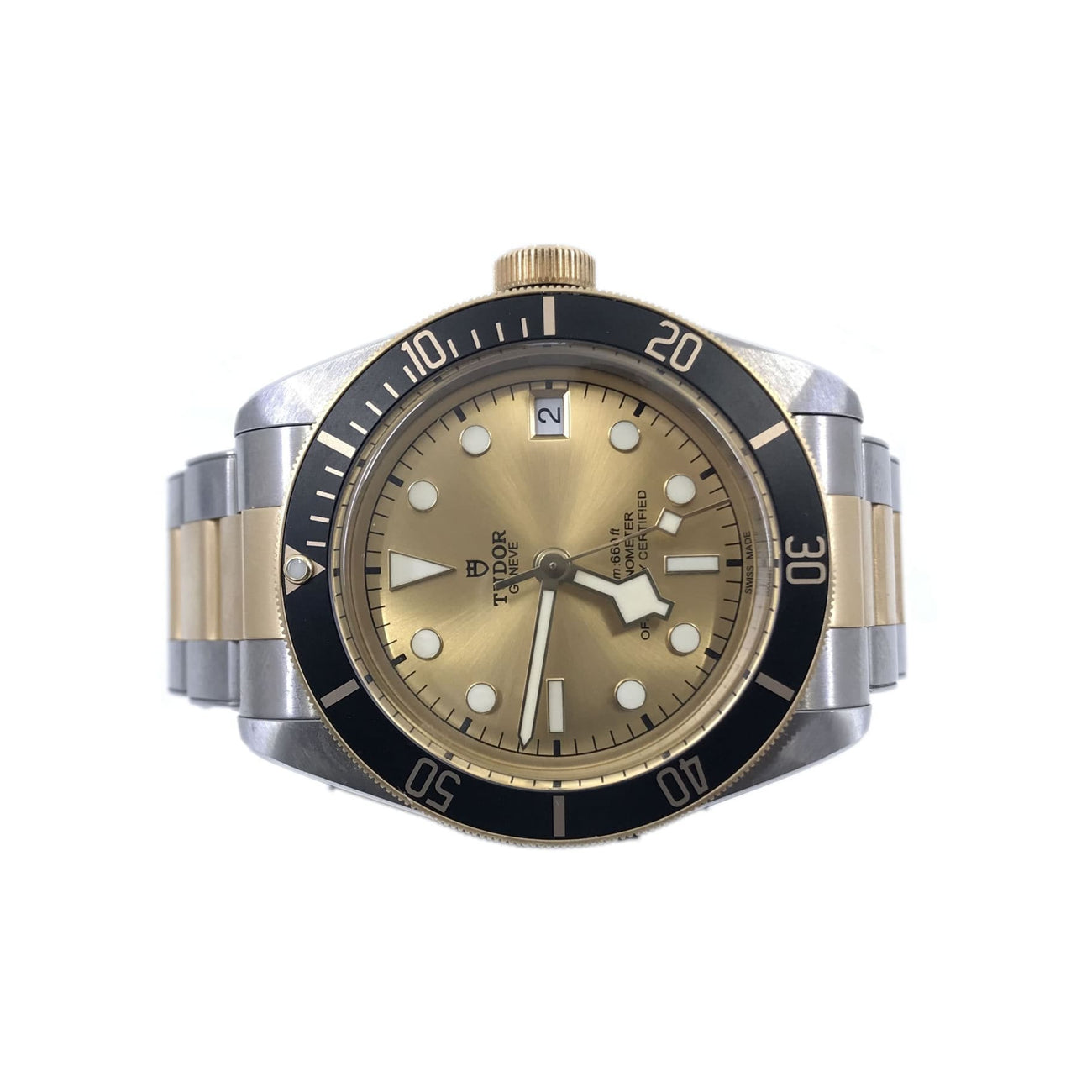Tudor Black Bay Steel & Gold 79733N