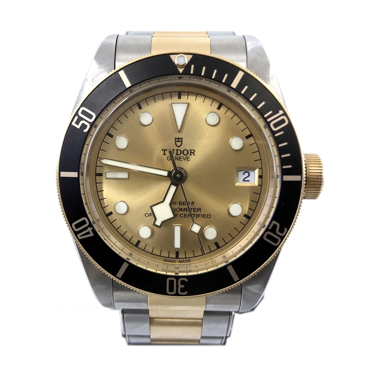 Tudor Black Bay Steel & Gold 79733N