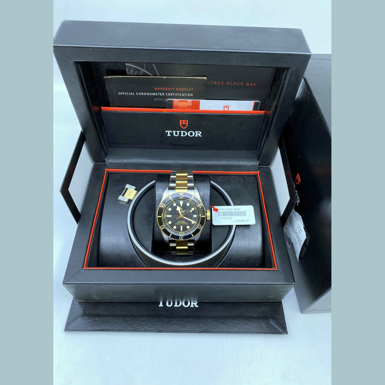 Tudor Black Bay Steel & Gold 79733N