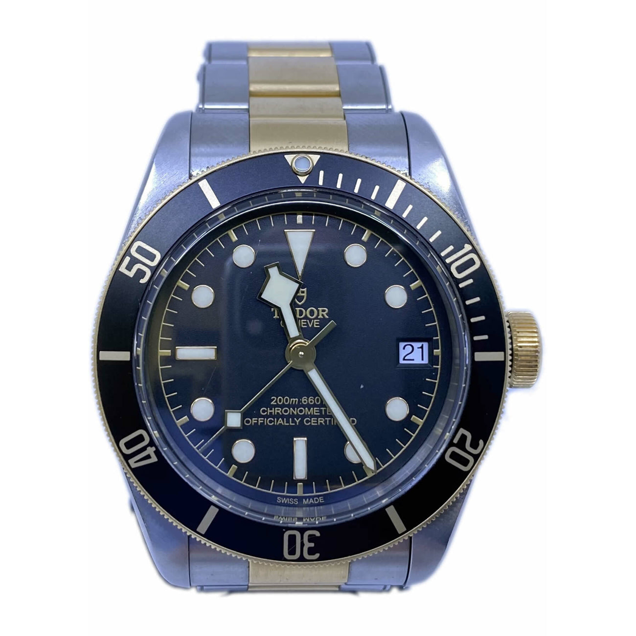 Tudor Black Bay Steel & Gold 79733N