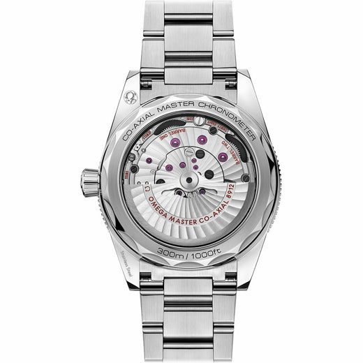 Omega Seamaster 300 Master Chronometer 234.30.41.21.03.001