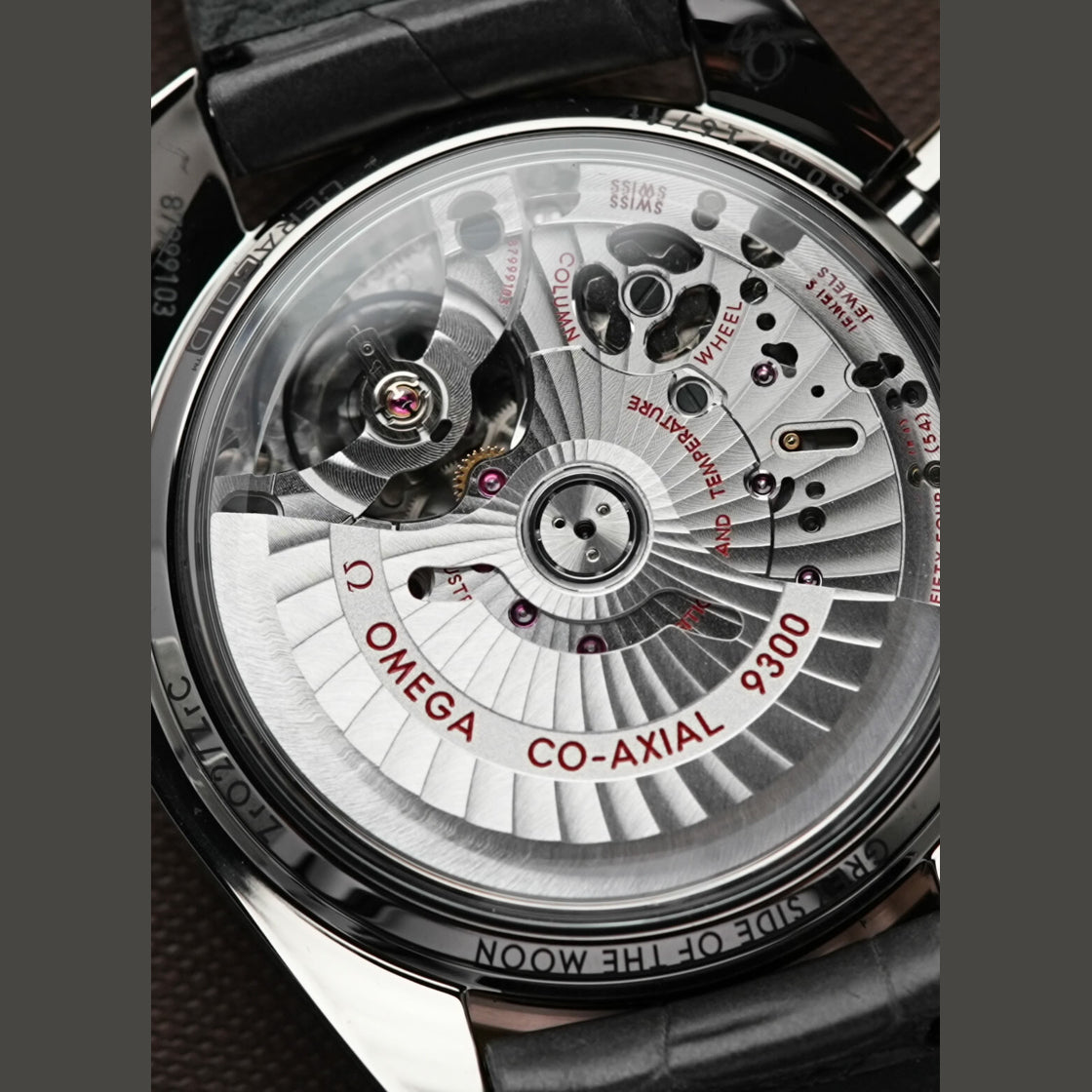 Omega Speedmaster Grey Side of The Moon Meteorite