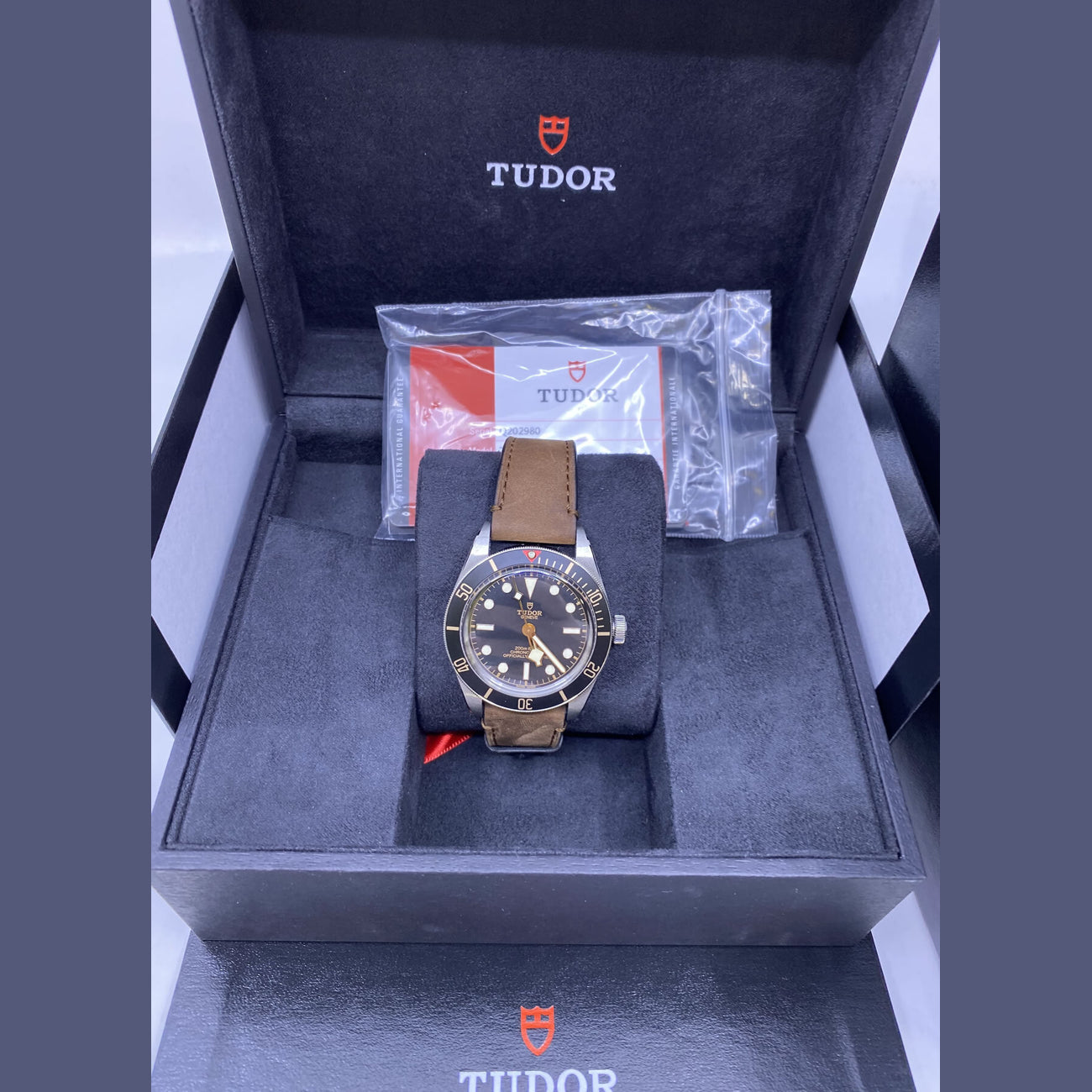 Tudor Black Bay 79030N