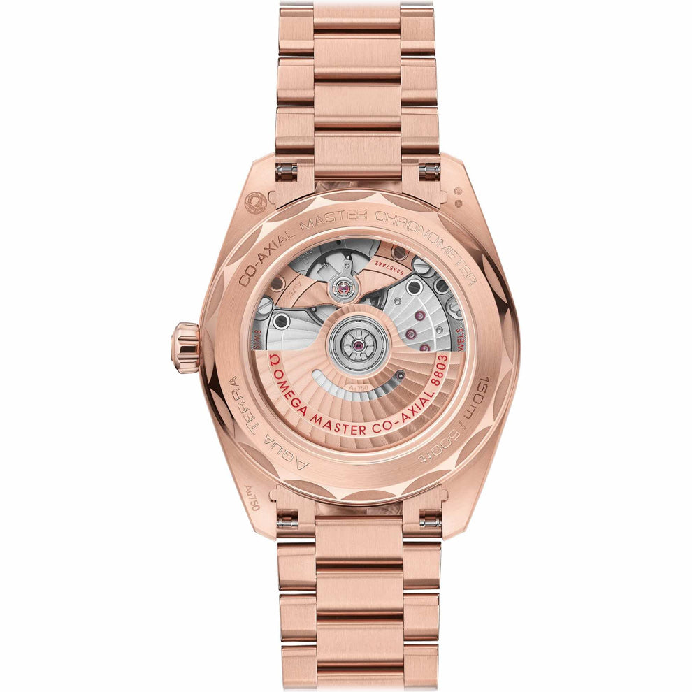 Omega Aqua Terra 150M Purple Dial 220.55.38.20.99.001