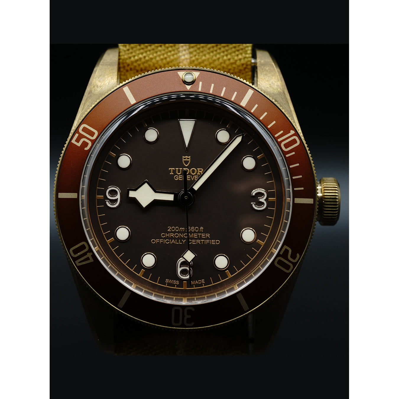 Tudor Heritage Black Bay 79250BM