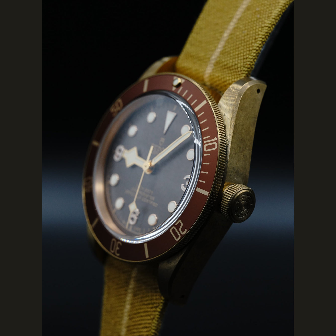 Tudor Heritage Black Bay 79250BM