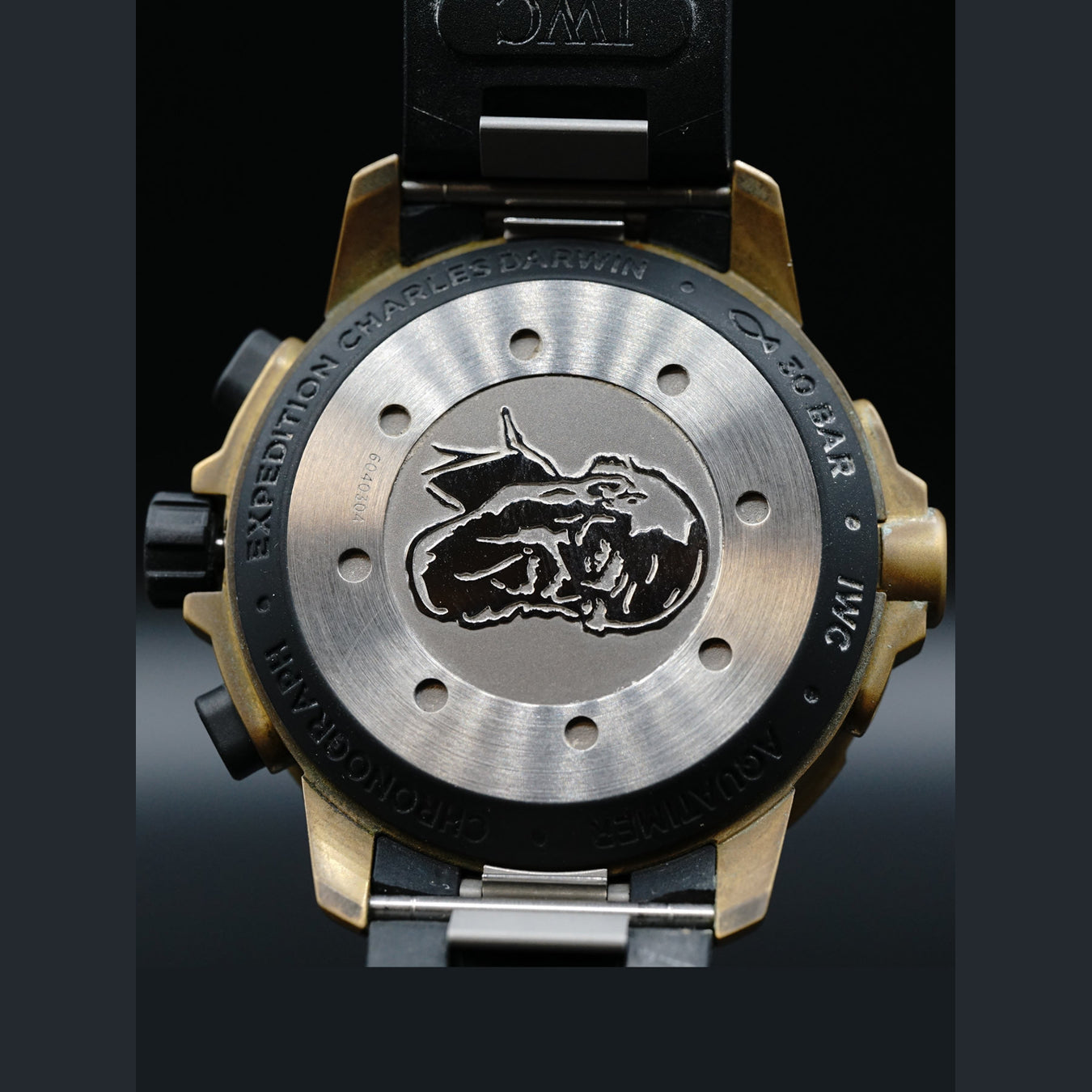 IWC Aquatimer Expedition Charles Darwin IW379503