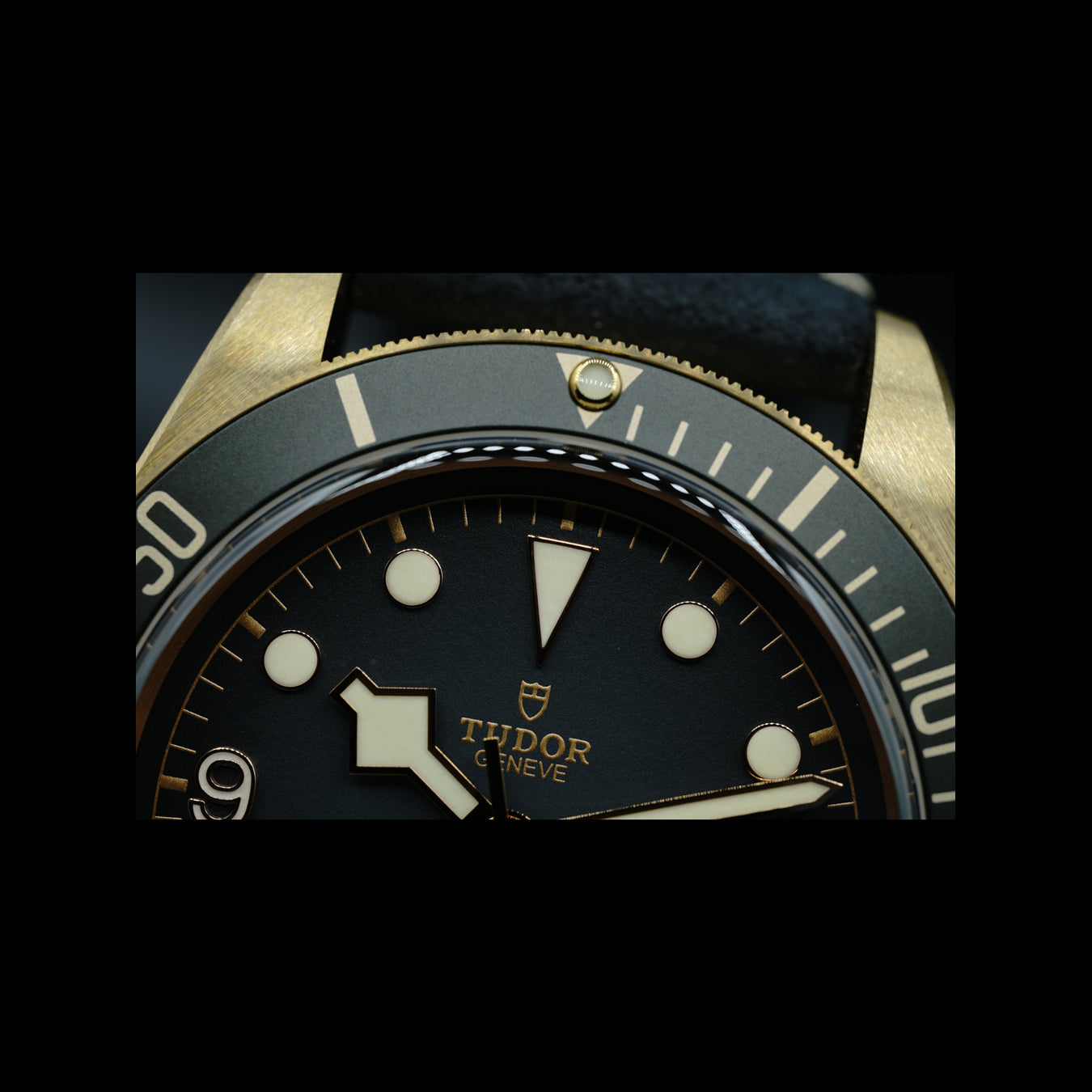 Tudor Heritage Black Bay 79250BA