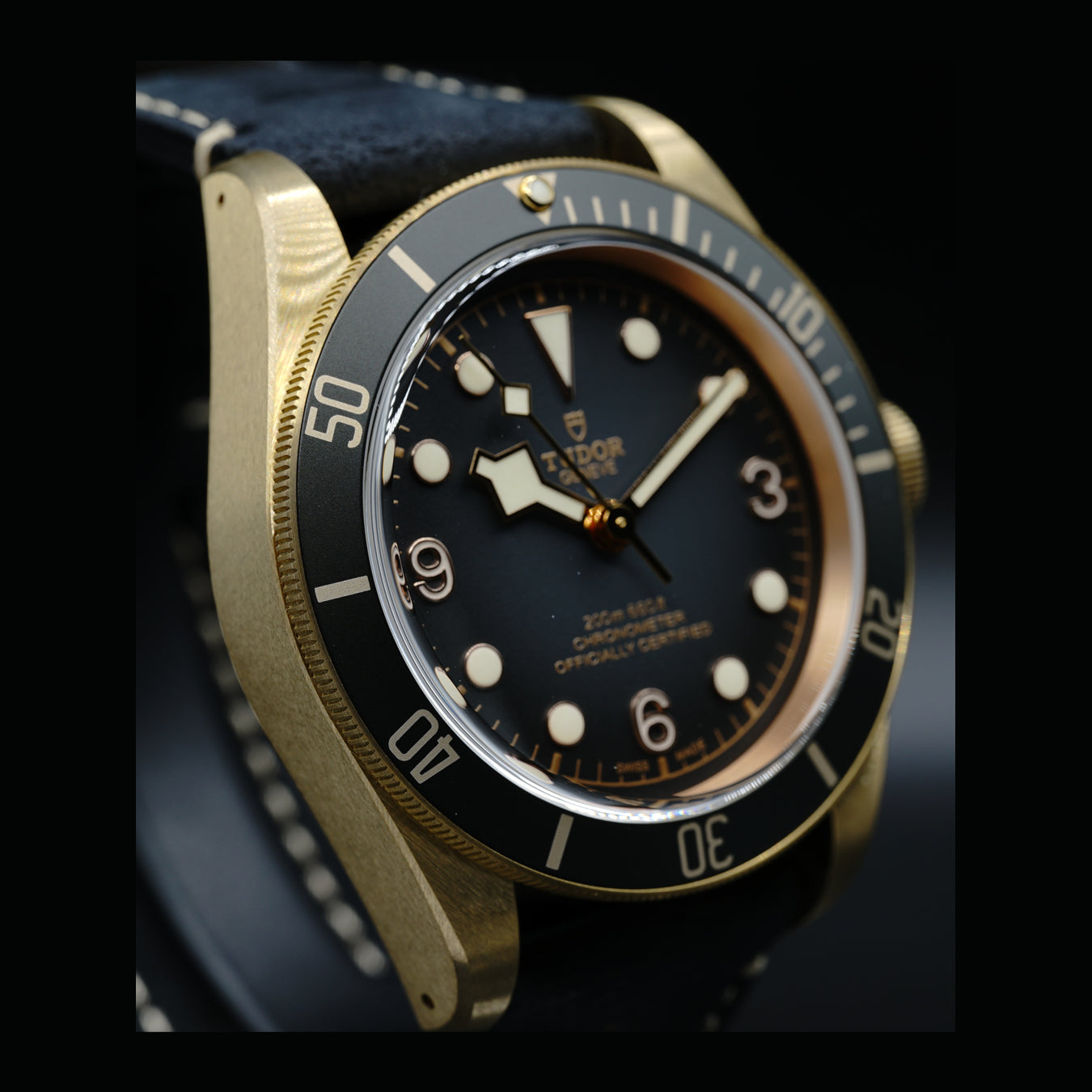 Tudor Heritage Black Bay 79250BA
