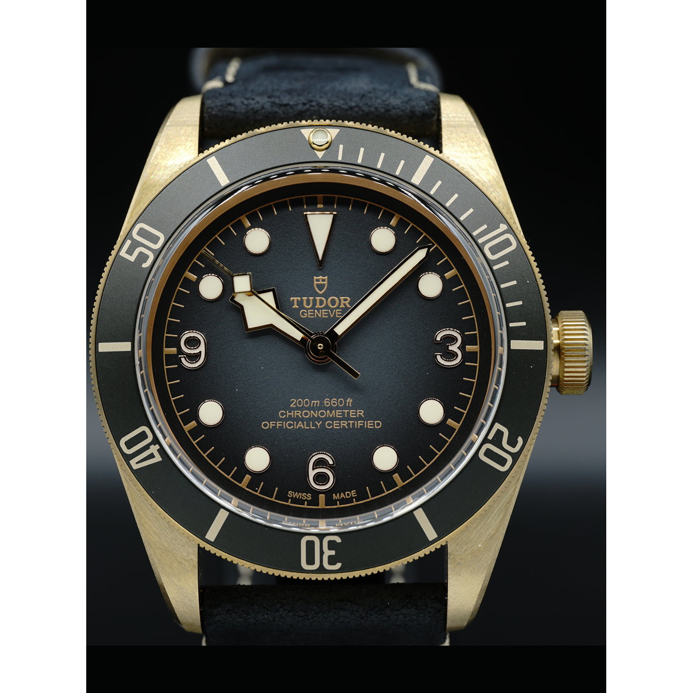 Tudor Heritage Black Bay 79250BA