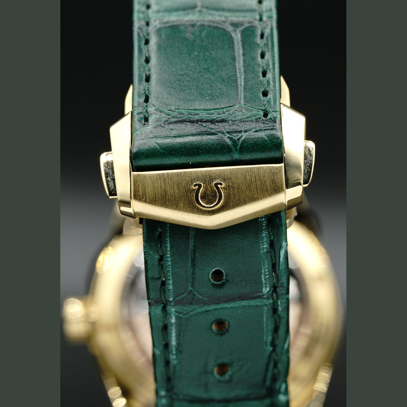 Omega Seamaster Yellow Gold Green Chronometer 41mm 234.63.41.21.99.001