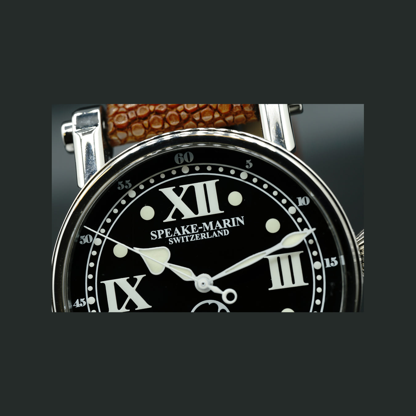 Very Rare Speake Marin Pioneer Limited Edition