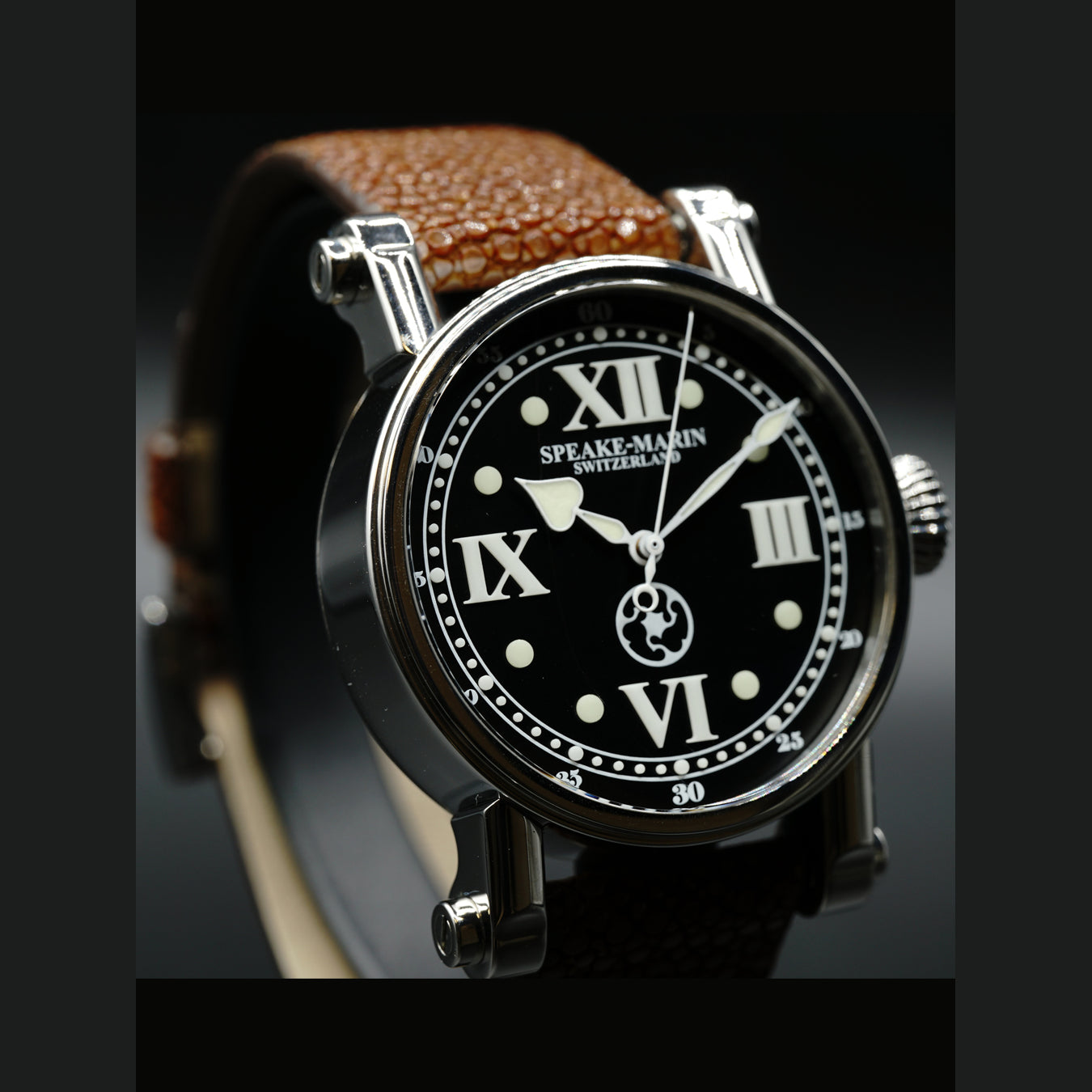Very Rare Speake Marin Pioneer Limited Edition