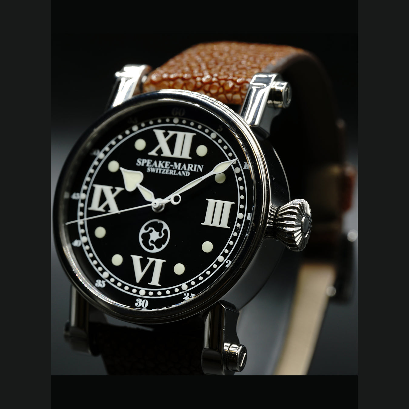 Very Rare Speake Marin Pioneer Limited Edition