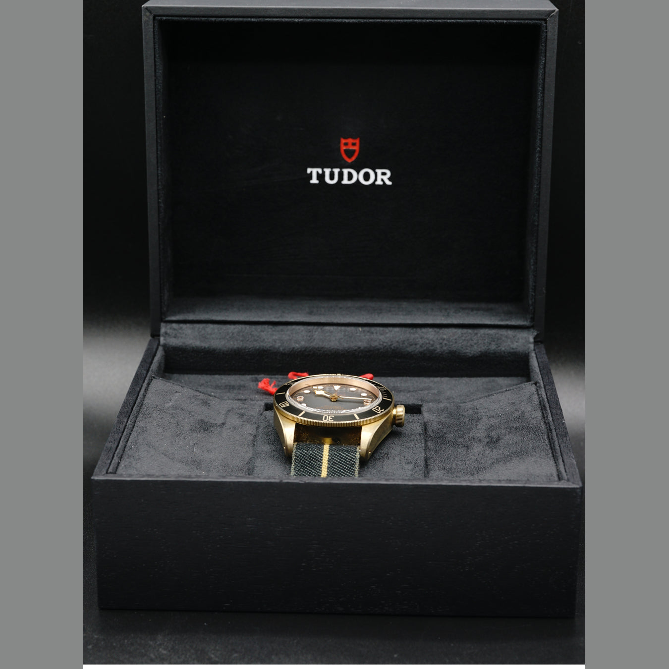 Tudor Black Bronze 43mm M79250BA-0001