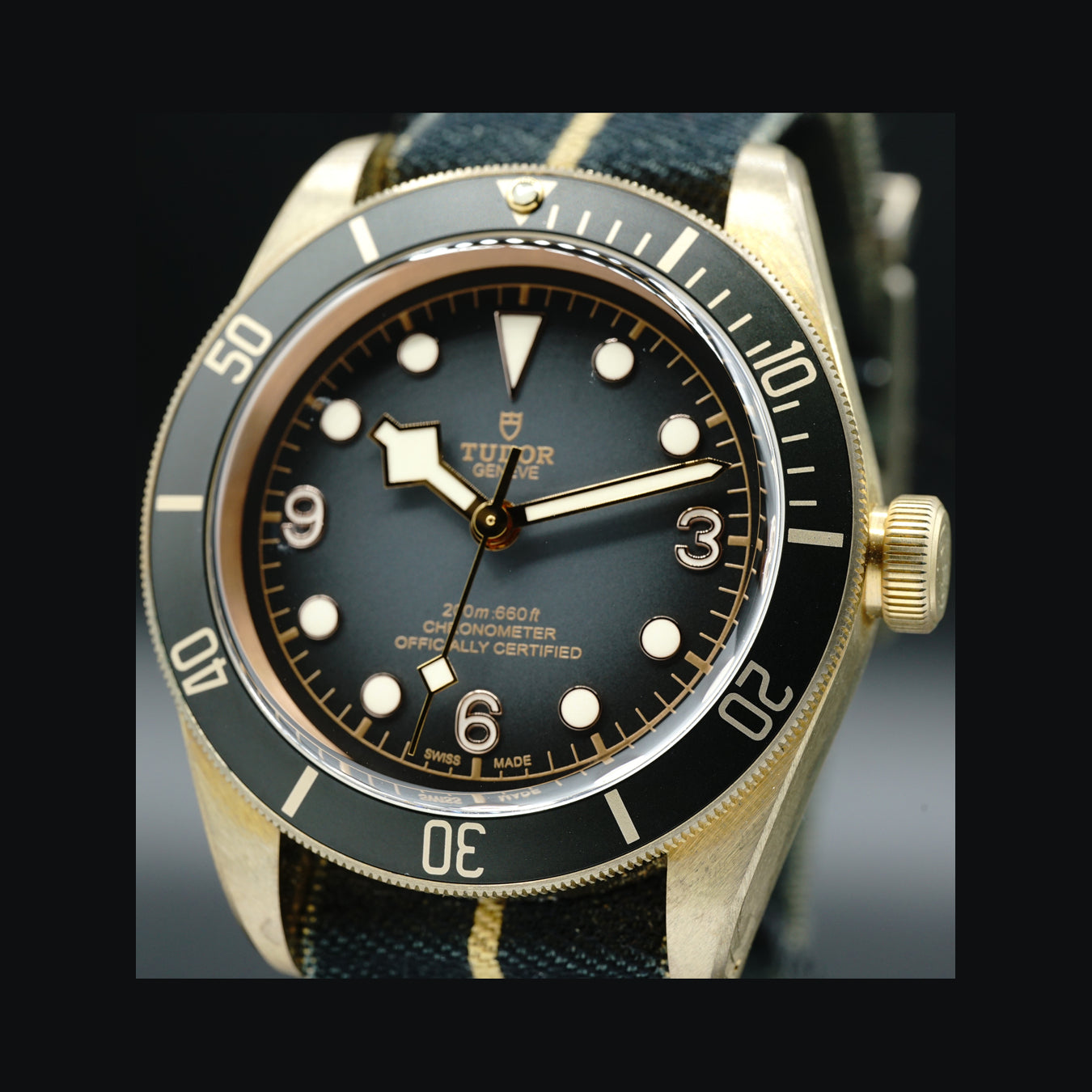 Tudor Black Bronze 43mm M79250BA-0001