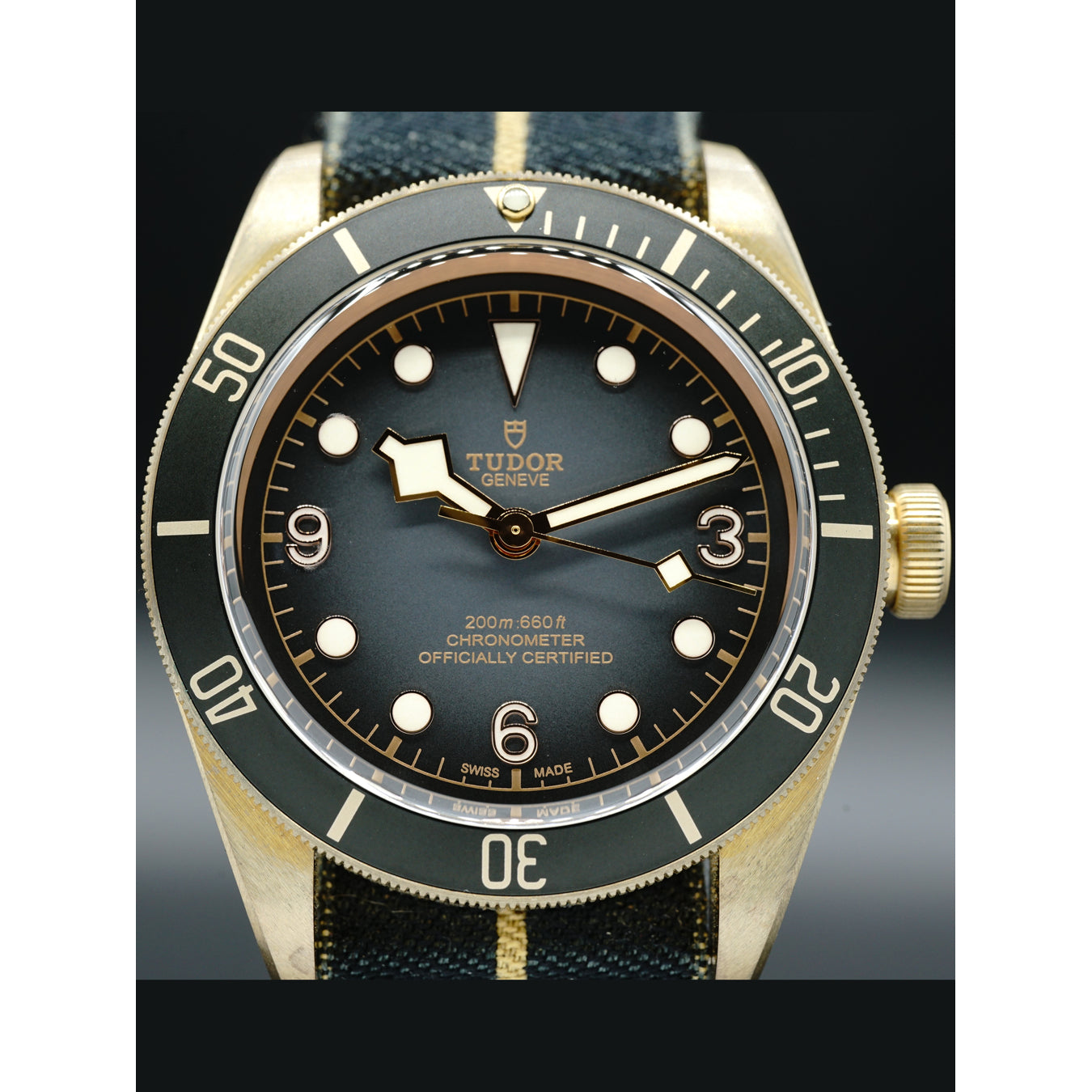 Tudor Black Bronze 43mm M79250BA-0001