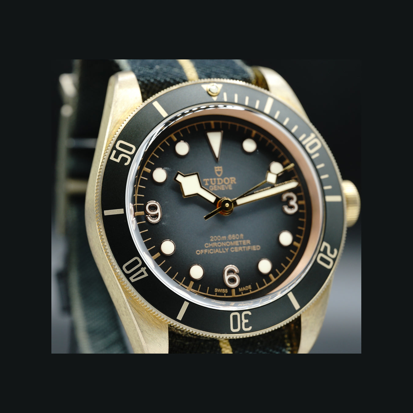 Tudor Black Bronze 43mm M79250BA-0001