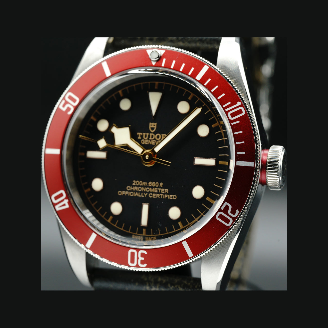 Tudor Black Bay Red M79230R-0011
