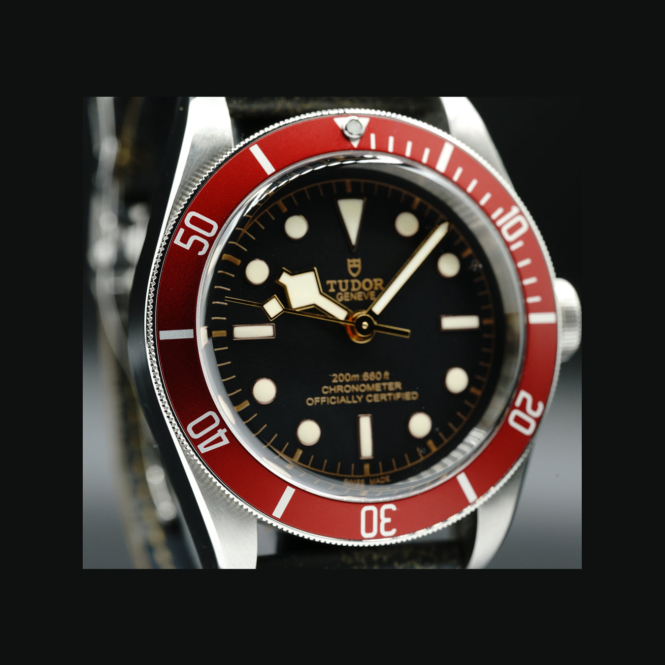 Tudor Black Bay Red M79230R-0011