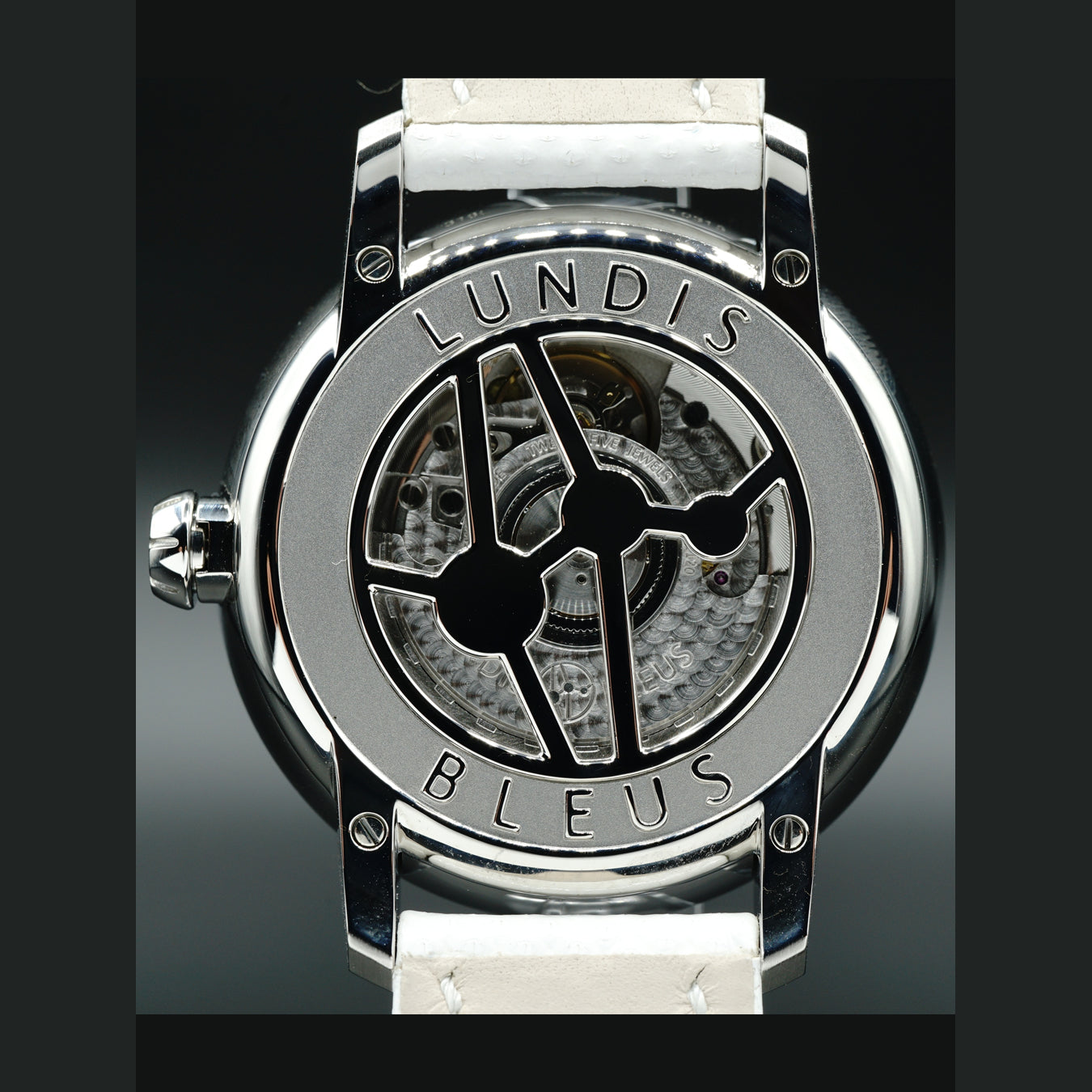 Lundis Bleus Charoite