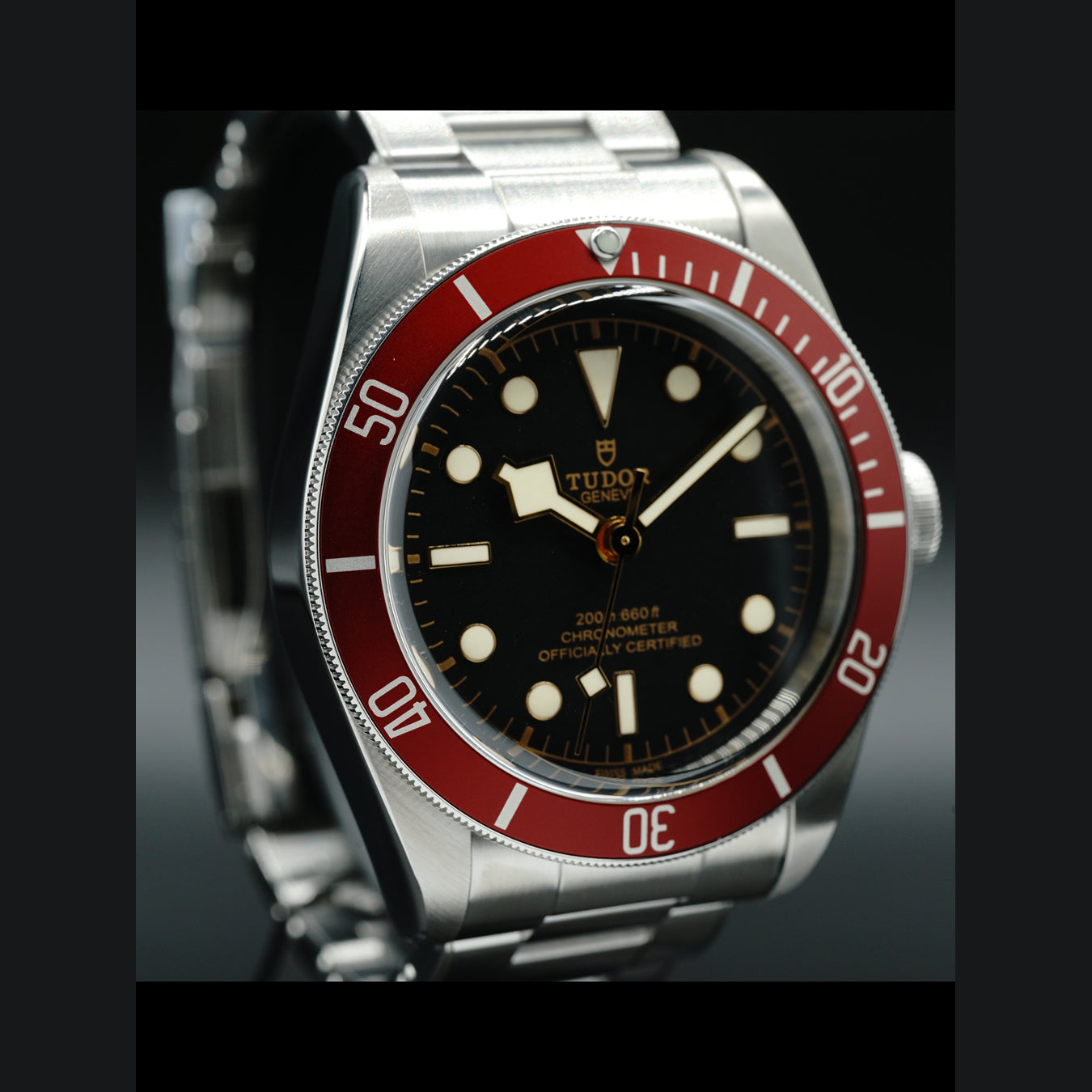 Tudor Black Bay M7930R 0012