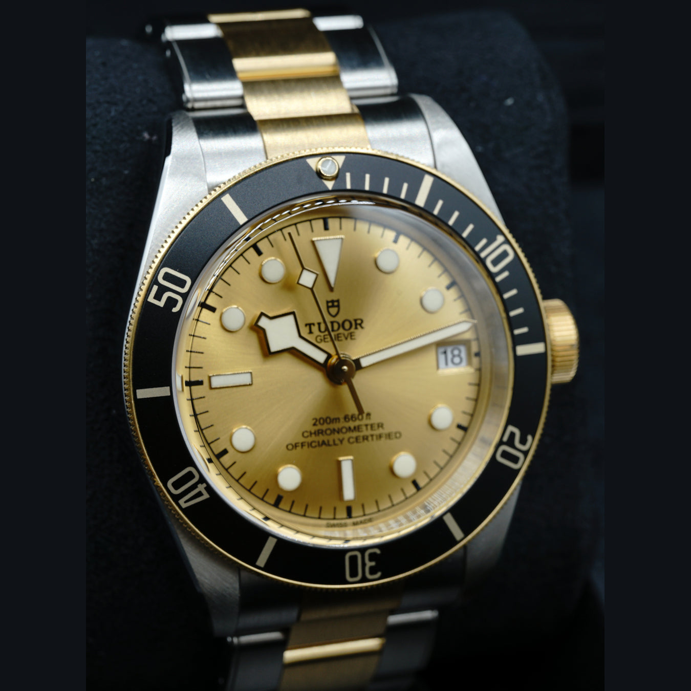 Tudor Black Bay Steel & Gold 79733N