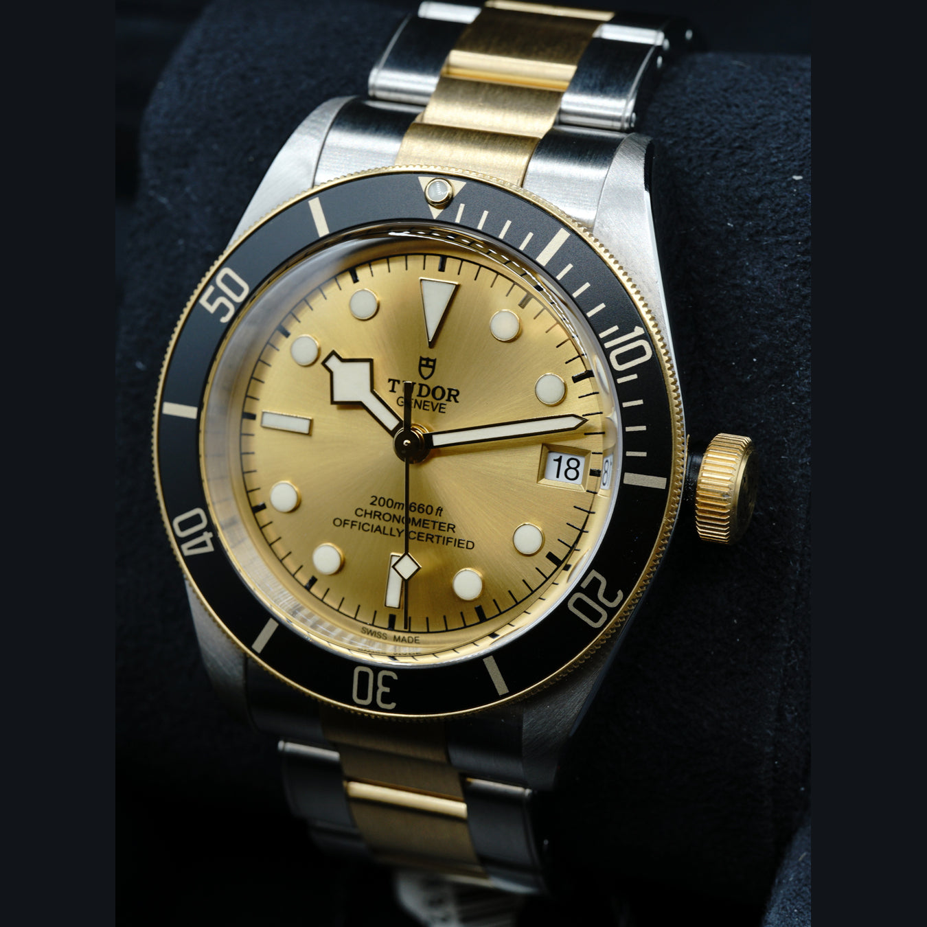 Tudor Black Bay Steel & Gold 79733N