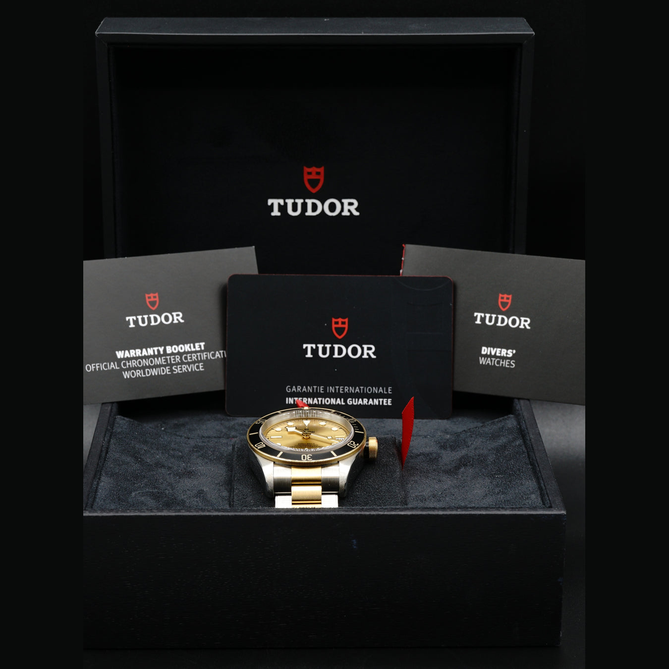 Tudor Black Bay Steel & Gold 79733N