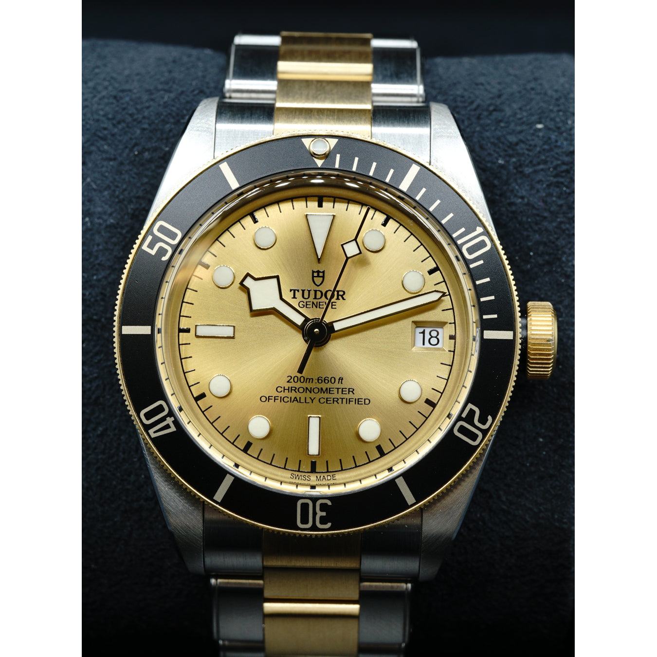 Tudor Black Bay Steel & Gold 79733N