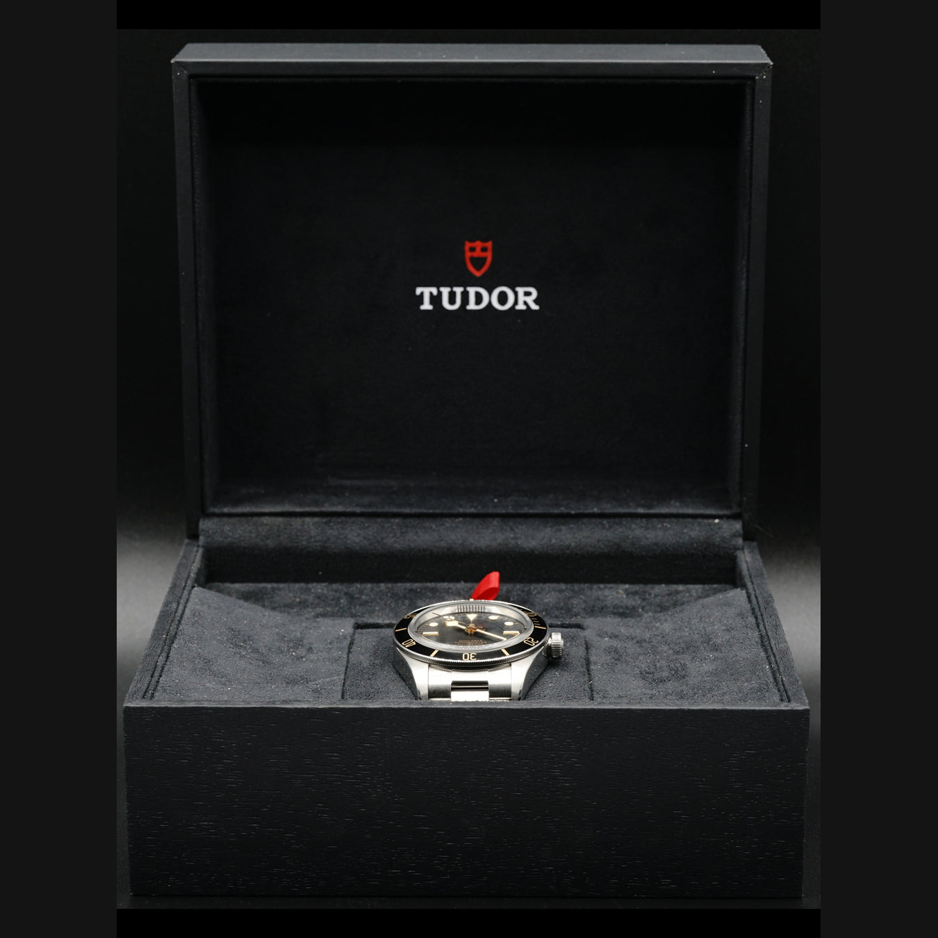 Tudor Black Bay 79030N