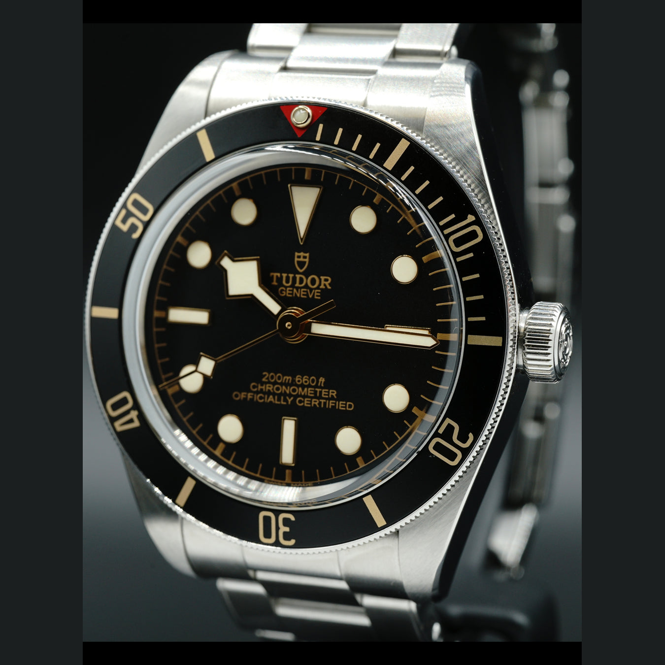 Tudor Black Bay 79030N
