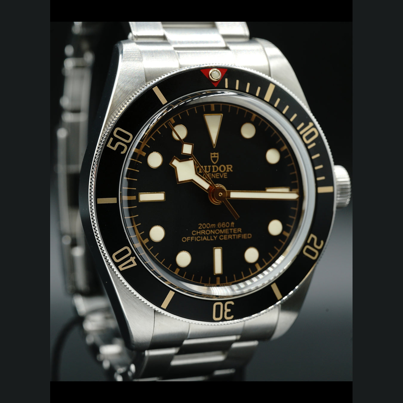 Tudor Black Bay 79030N