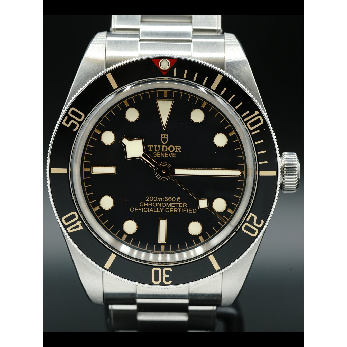 Tudor Black Bay 79030N