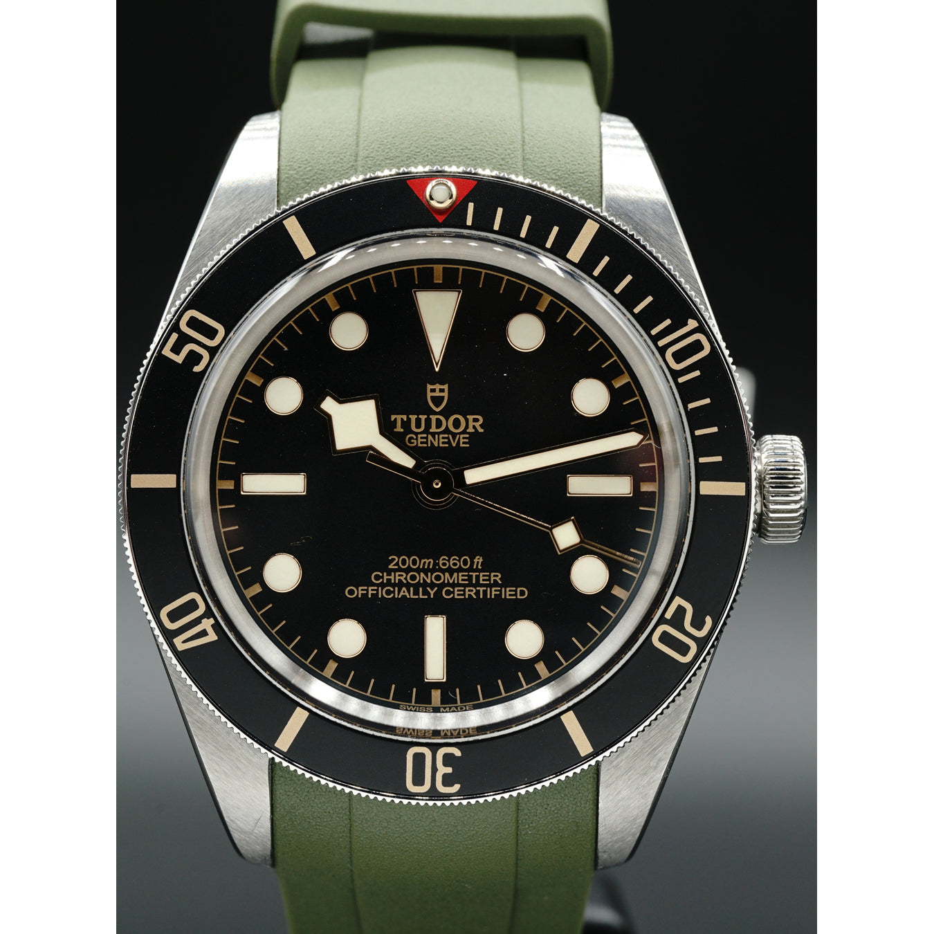 Tudor Black Bay 79030N