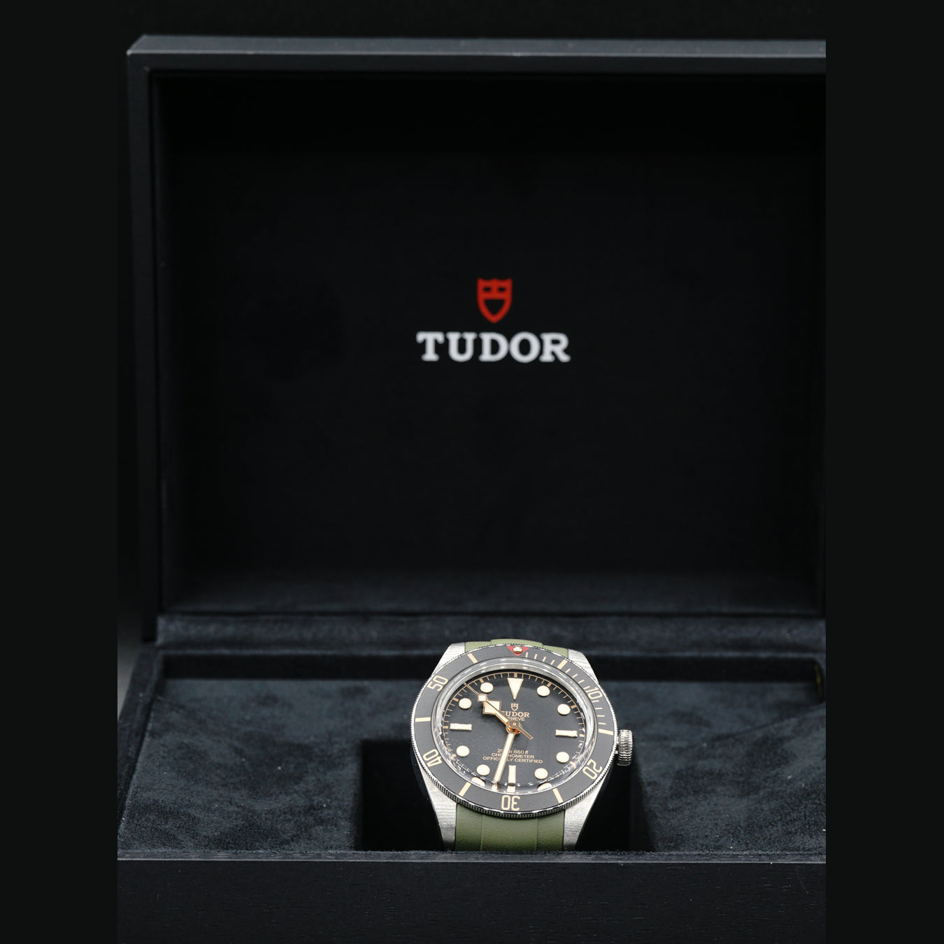 Tudor Black Bay 79030N