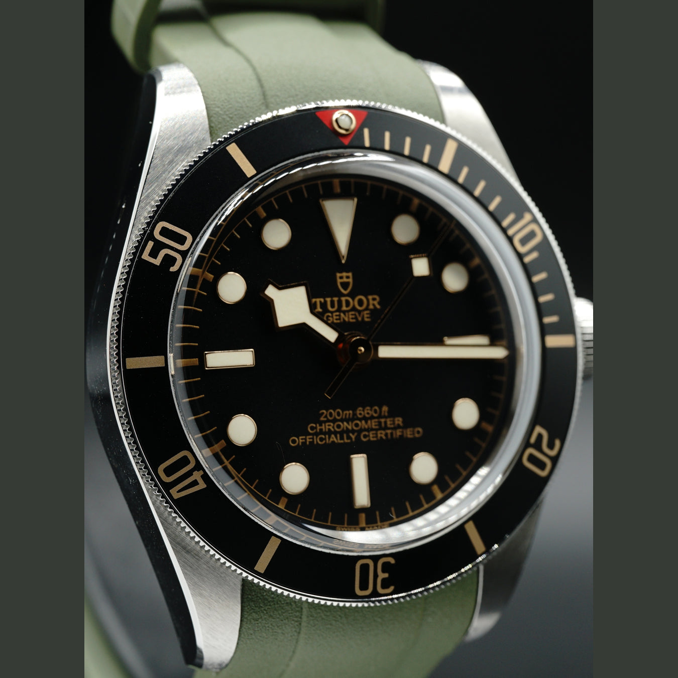 Tudor Black Bay 79030N