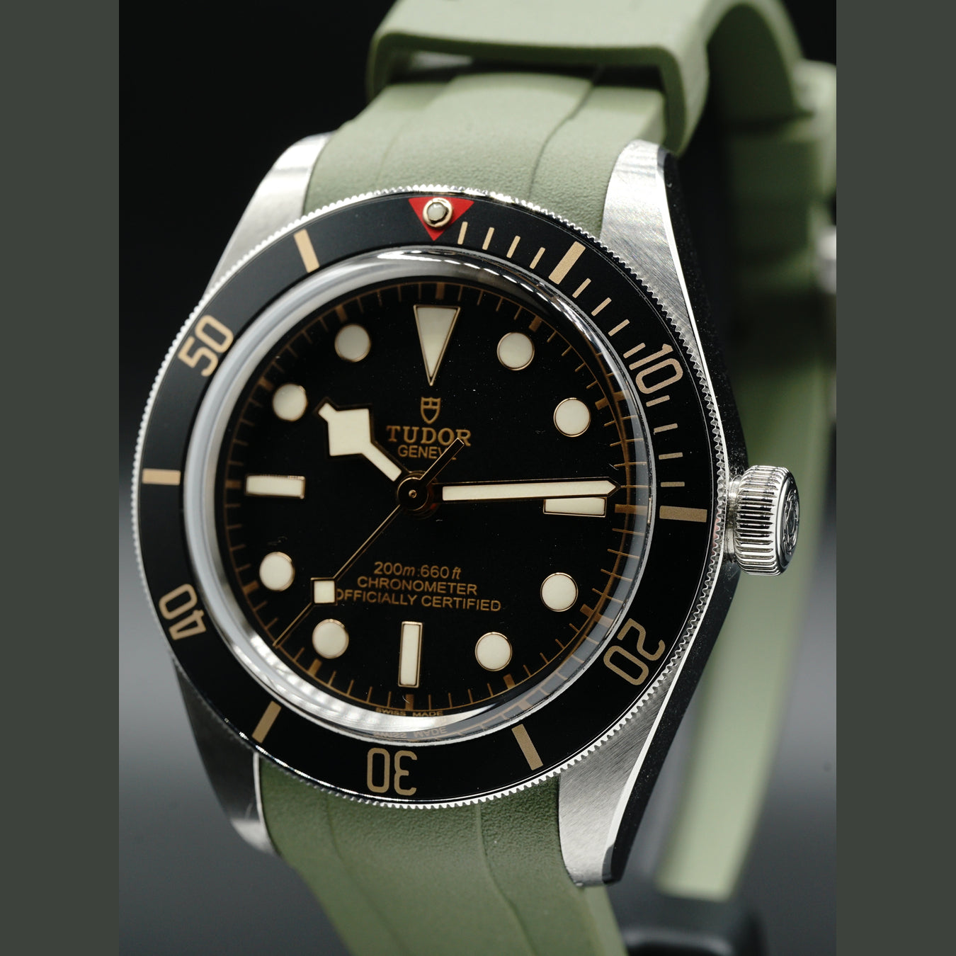 Tudor Black Bay 79030N