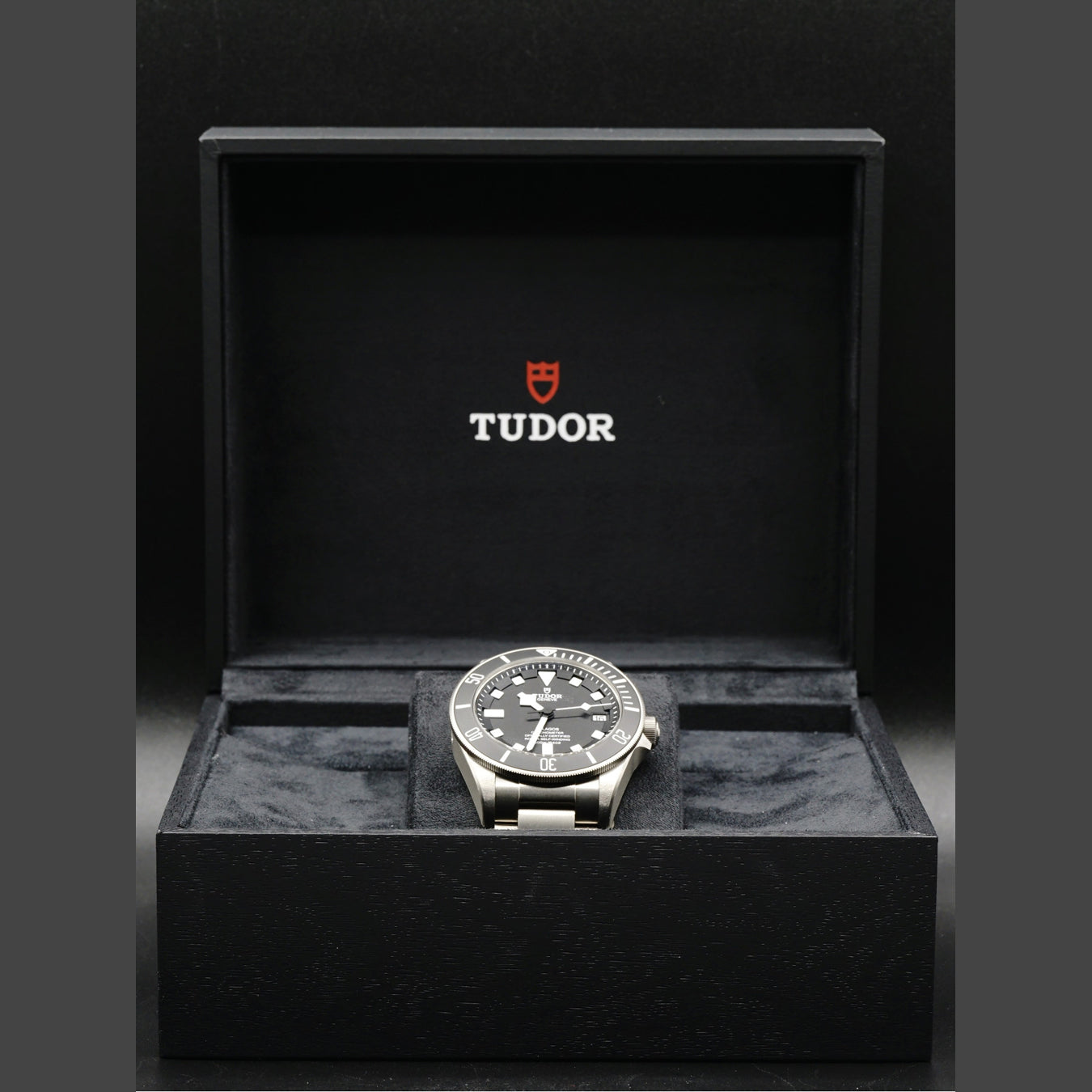 Tudor Pelagos 25600TN