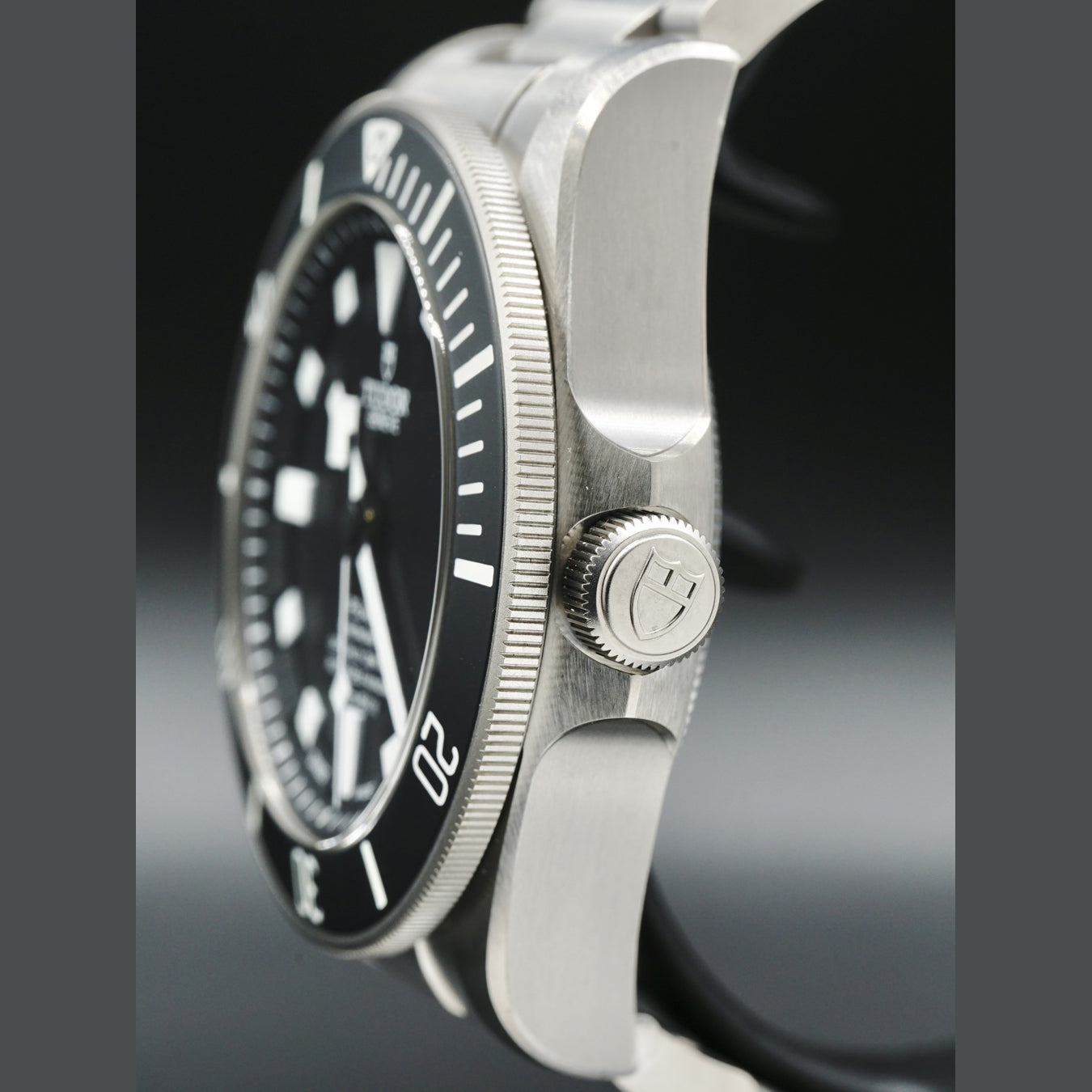 Tudor Pelagos 25600TN
