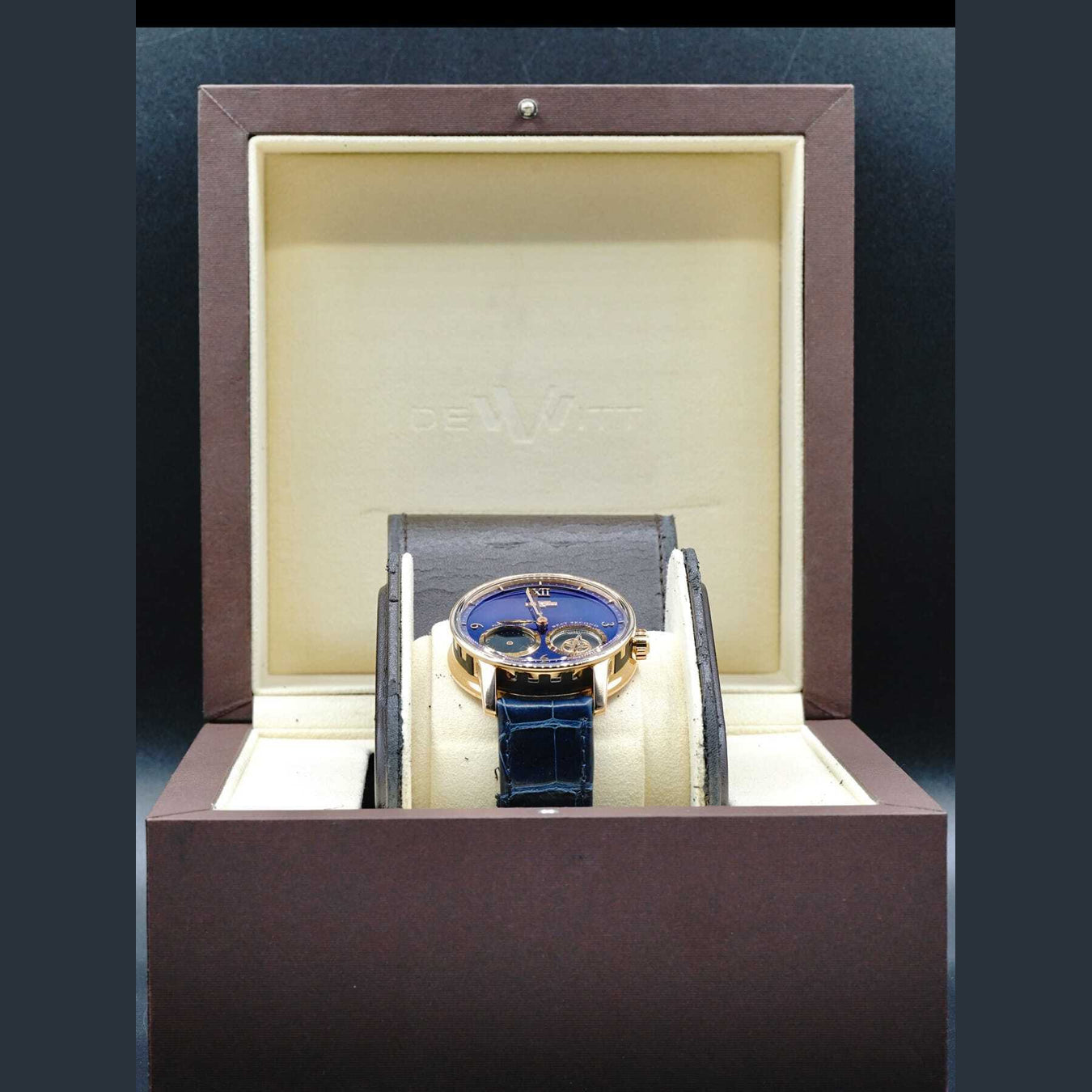 DeWitt Academia Out of Time AC.OUT.003