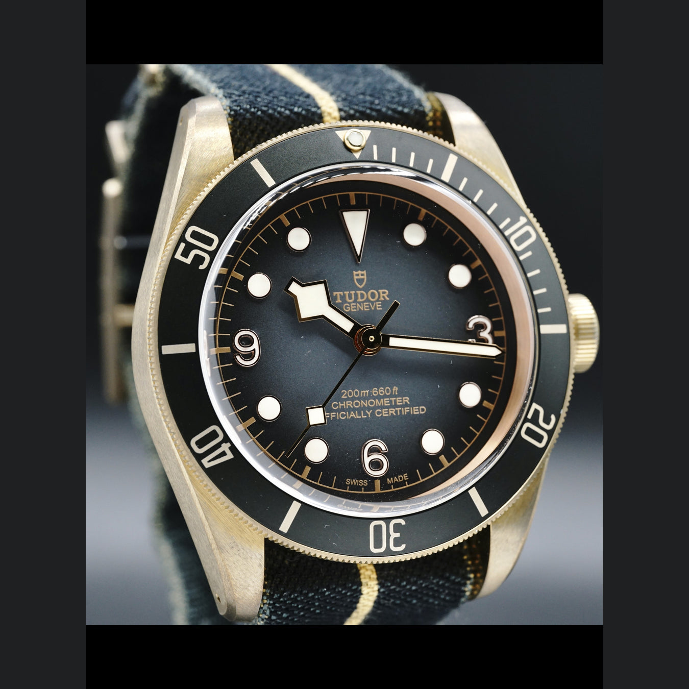 Tudor Heritage Black Bay 79250BA