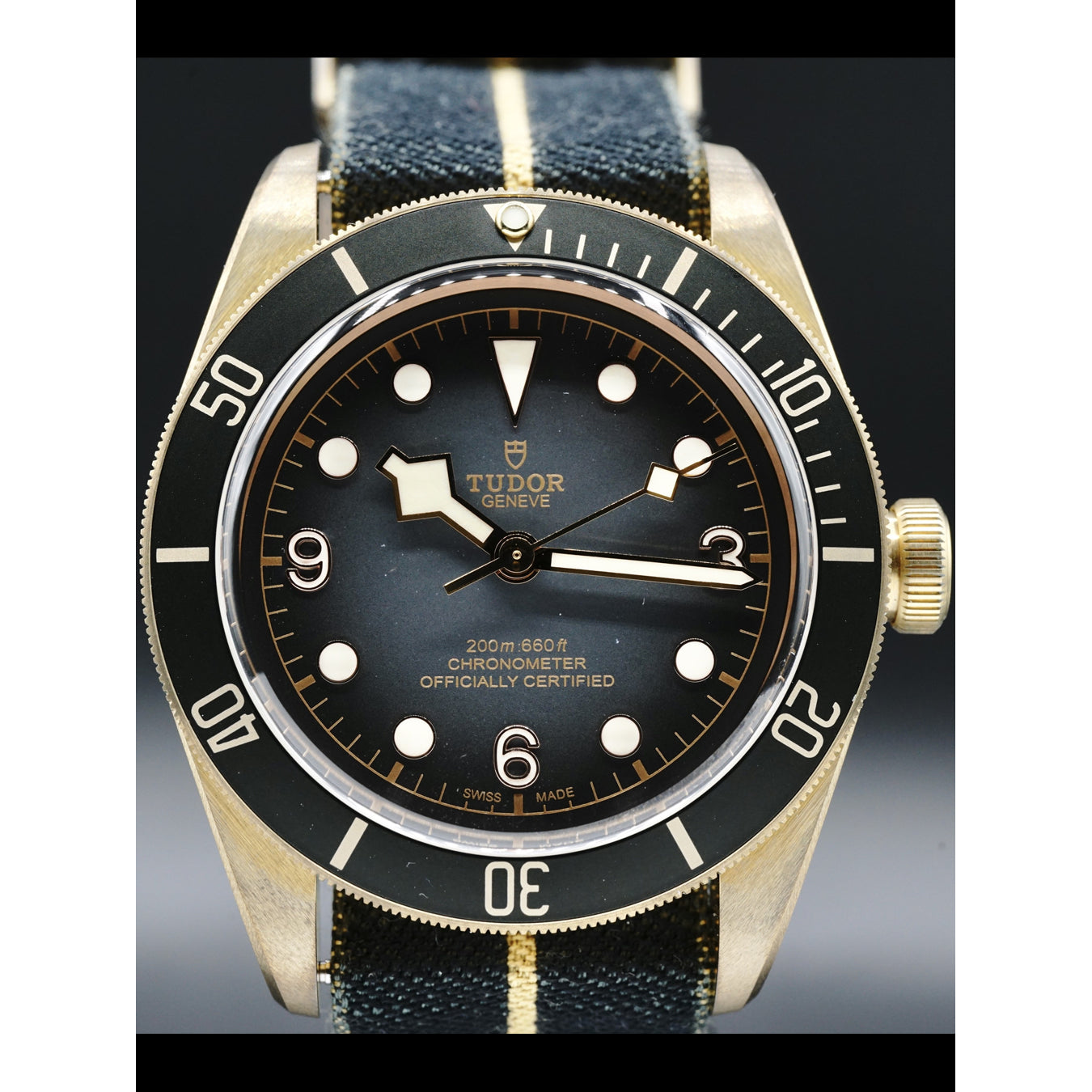 Tudor Heritage Black Bay 79250BA