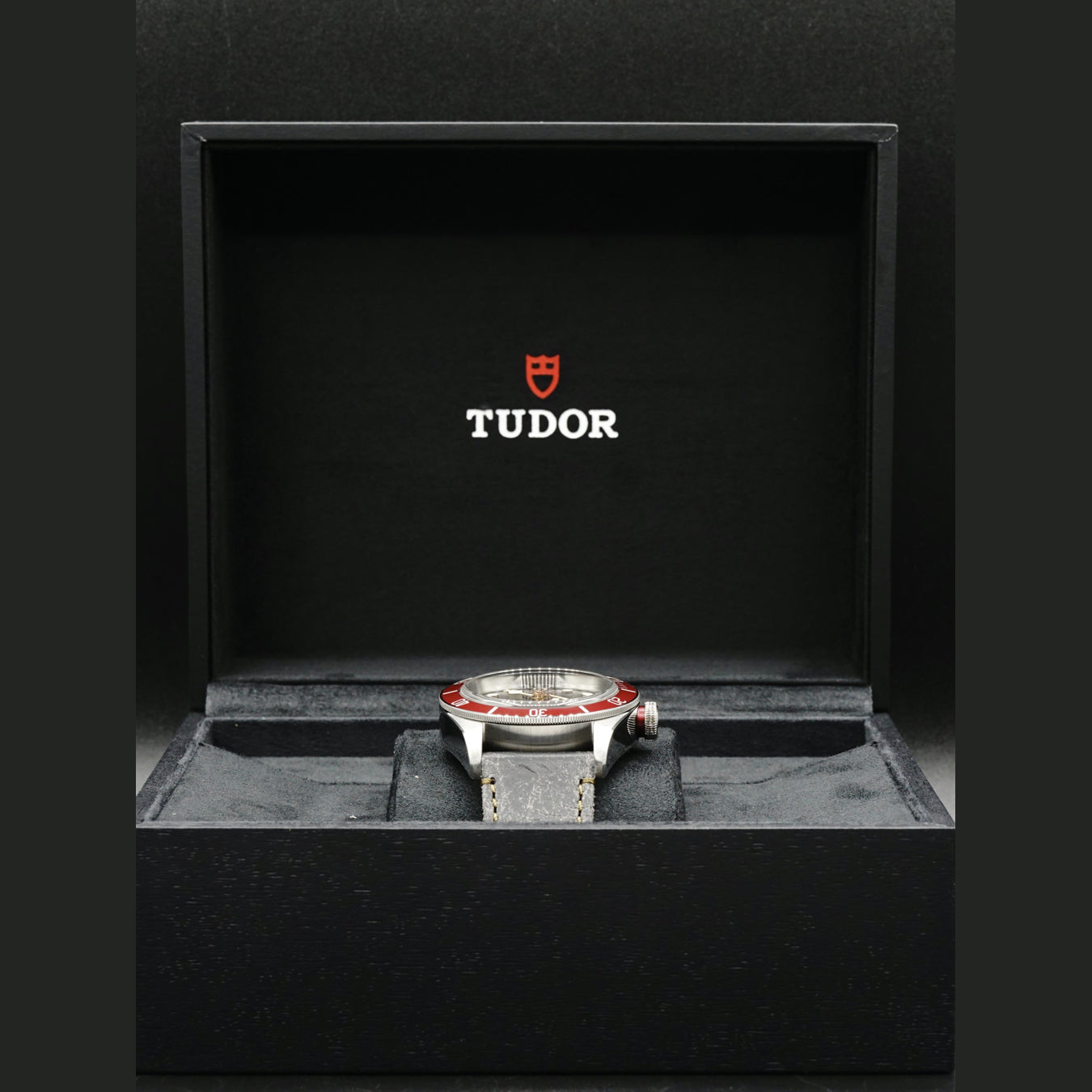 Tudor Black Bay 79230R